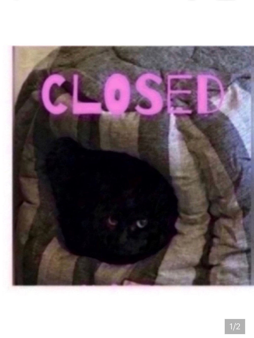 CLOsED🐈‍⬛Pillows pick 5